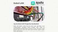 Apa itu Kabel LAN