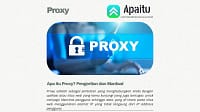 Apa itu Proxy